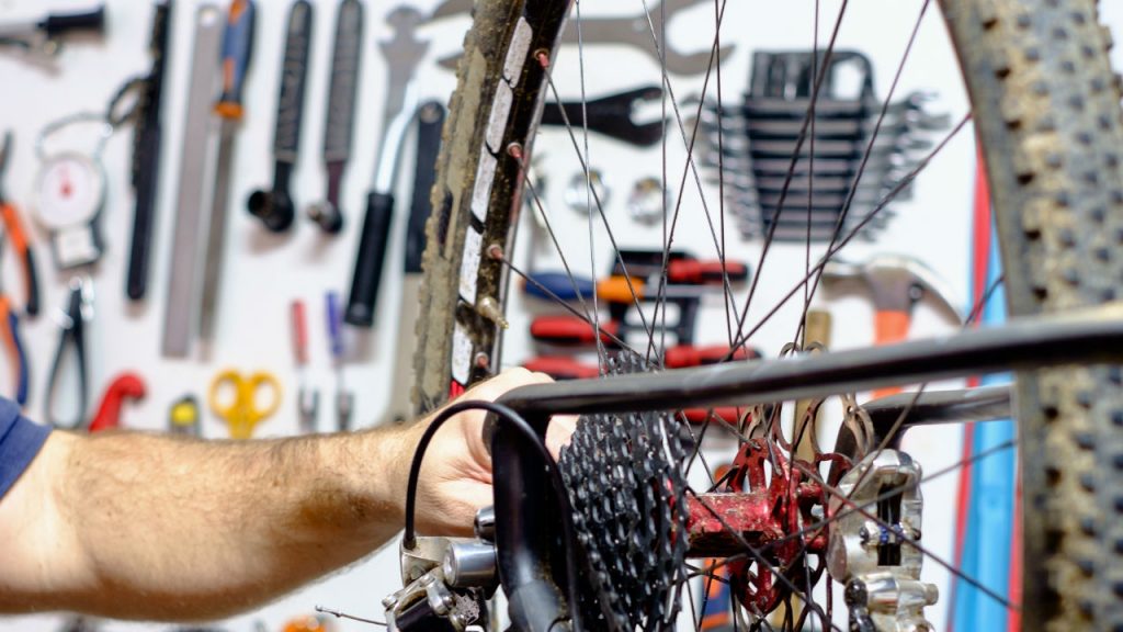Cómo realizar un buen mantenimiento de la cadena de mi bici - Eltin