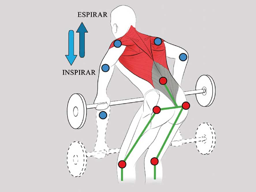 Ejercicios para tu espalda orientados al MTB