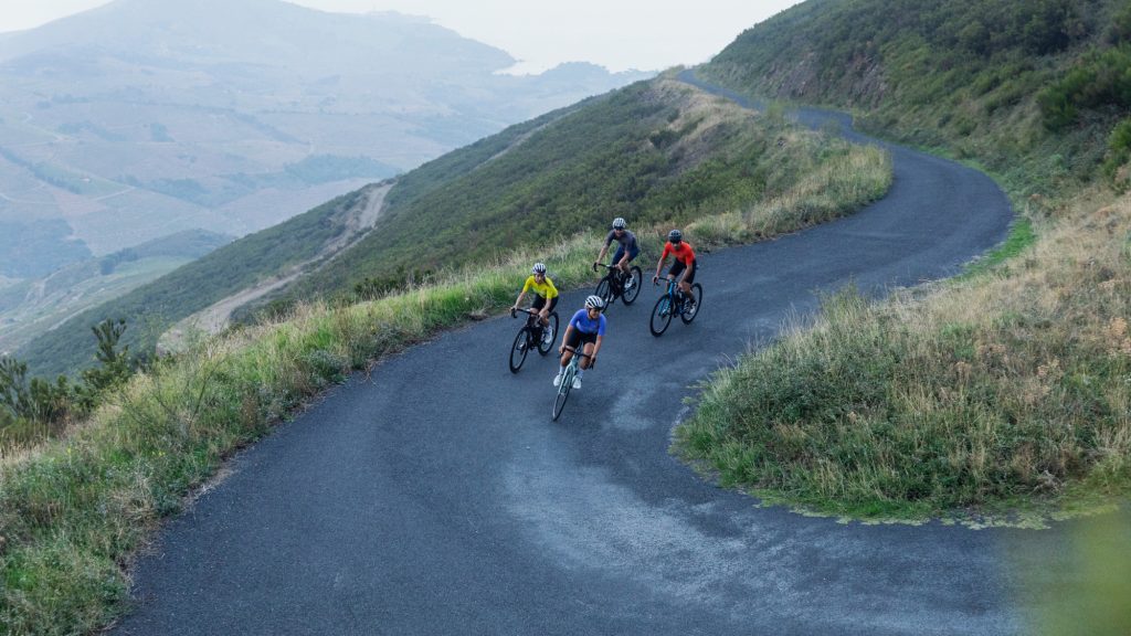 Las 4 grasas imprescindibles para bicicletas 