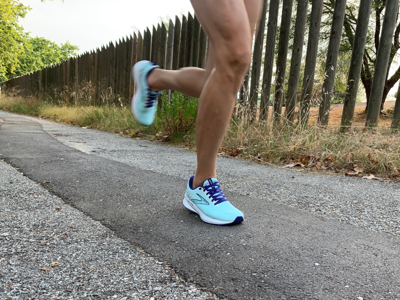 Calzado para el gimnasio, Zapatillas de fitness y training