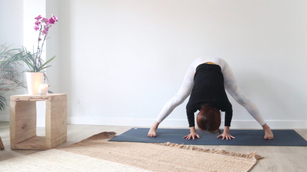 asanas invertidas