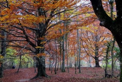 rutas para hacer en otoño