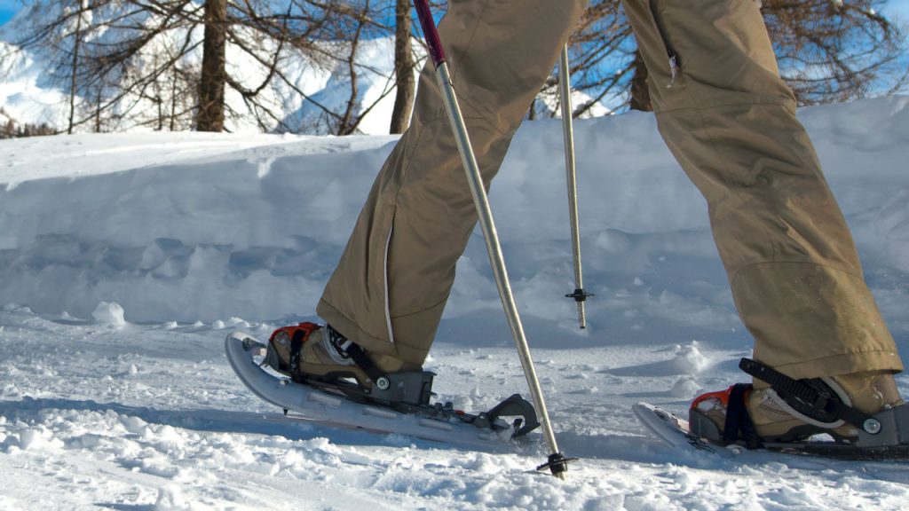 Como elegir tus raquetas de nieve