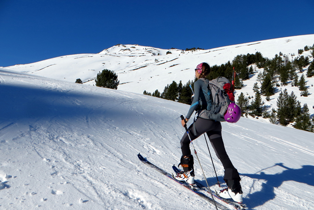 Guía de Compra para elegir tu camiseta térmica – Blog de Montaña de Forum  Sport