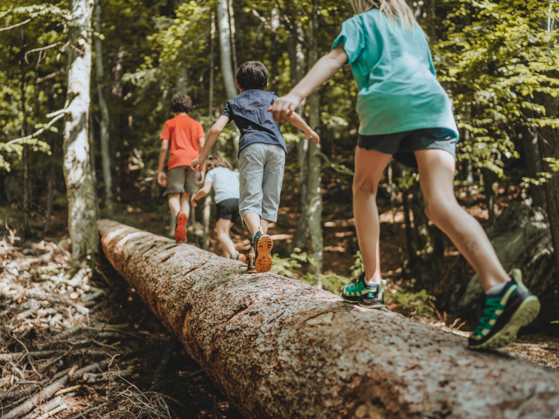 Zapatillas De Trekking Niños