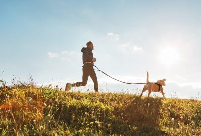 canicross running perro