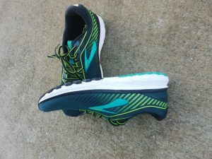 Brooks Ghost 12