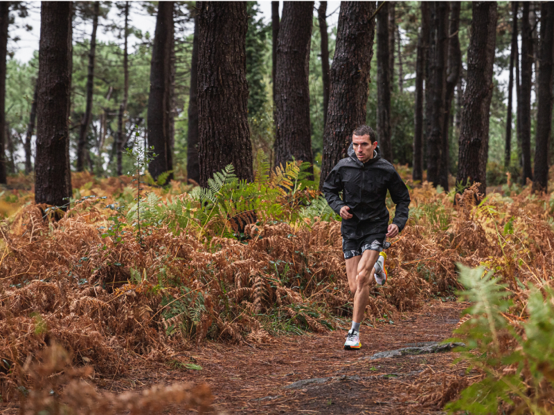 Nike Pegasus Trail 2 GORE-TEX, la zapatilla para pisar la montaña