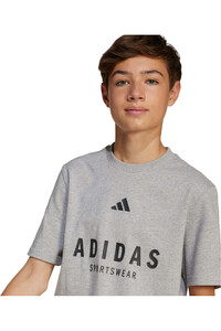 adidas camiseta manga corta niño J ALLSZN GFX T vista detalle