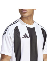 adidas camisetas fútbol manga corta STRIPED 24 JSY 03