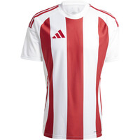 adidas camisetas fútbol manga corta STRIPED 24 JSY 04