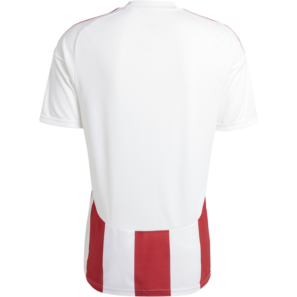 adidas camisetas fútbol manga corta STRIPED 24 JSY 05