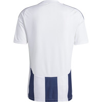 adidas camisetas fútbol manga corta STRIPED 24 JSY 05