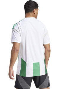 adidas camisetas fútbol manga corta STRIPED 24 JSY vista trasera