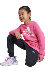 adidas conjunto junior LK BOS JOG FL 03