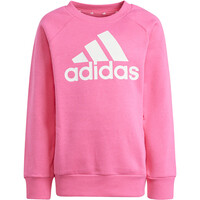 adidas conjunto junior LK BOS JOG FL 06