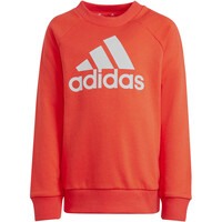 adidas conjunto junior LK BOS JOG FT 06