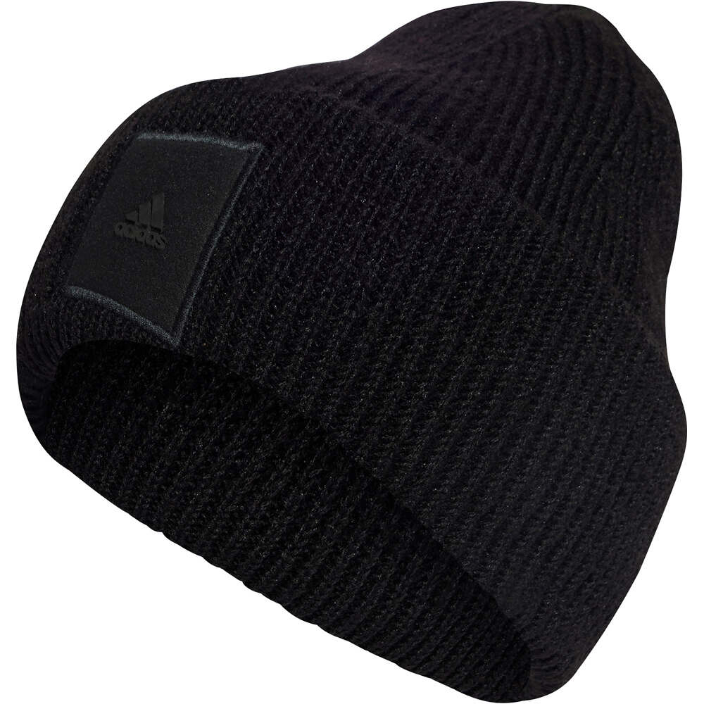 adidas gorro esquí hombre WID CUFF BEANIE vista frontal