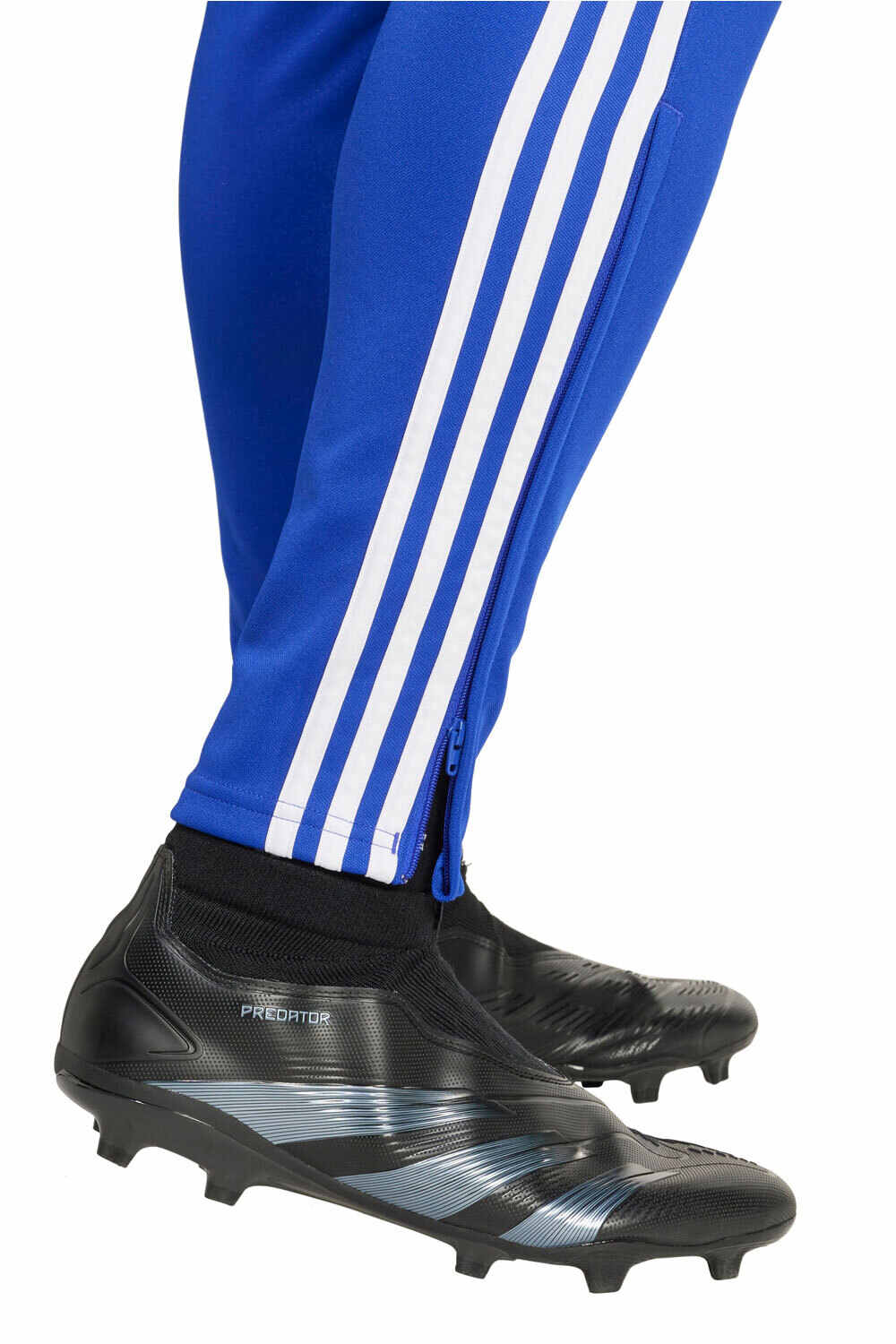 adidas pantalón hombre TIRO24 TRPNT S 03