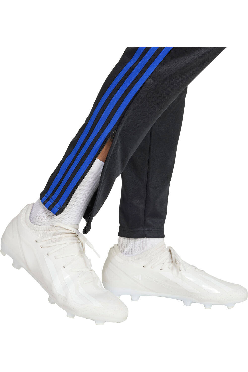 adidas pantalón hombre TIRO24 TRPNT S 04