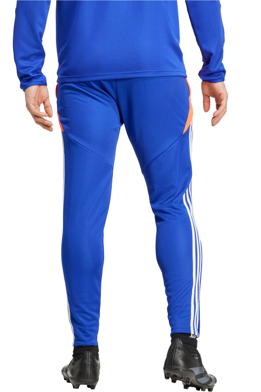 adidas pantalón hombre TIRO24 TRPNT S vista trasera