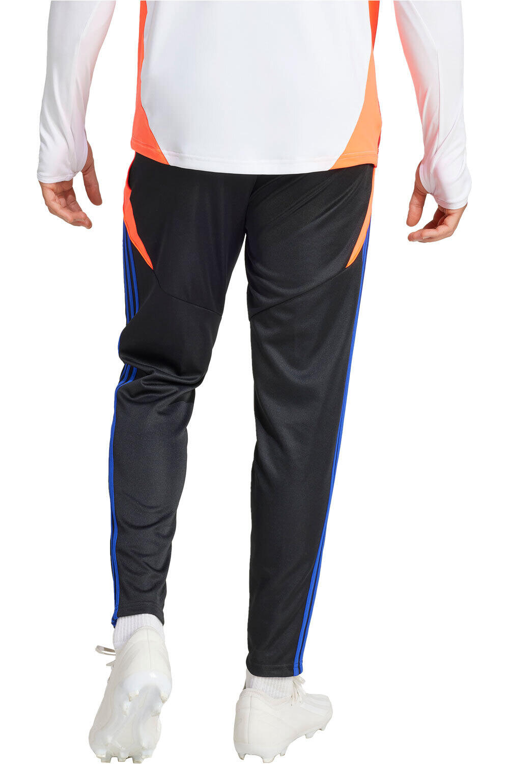 adidas pantalón hombre TIRO24 TRPNT S vista trasera