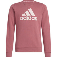 adidas sudadera niña G BL SWT 04