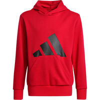 adidas sudadera niño J BL FT HD 280 04