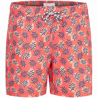 Blend bañador playa hombre SWIMWEAR PINK vista frontal