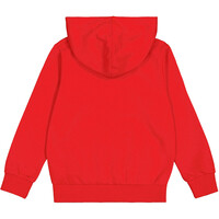 Champion sudadera niño X_Hooded Sweatshirt vista trasera