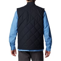 Columbia chaleco outdoor hombre Rad Padded Vest vista trasera