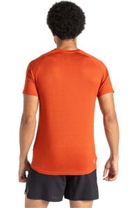 Dare2b camisa montaña manga corta hombre Persist Tee vista trasera