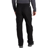 Dare2b pantalón montaña hombre ADRIOT III OVERTROUSER vista trasera