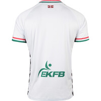 Euskadi camiseta de fútbol oficiales FED VASCA  AWAY SS JERSEY 24-25 vista trasera