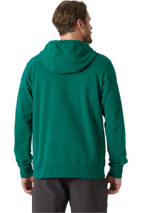 Helly Hansen sudadera hombre HH LOGO HOODIE 2.0 vista trasera