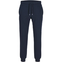 J&J pantalón hombre JPSTGORDON JJALVIS SWEAT PANTS NAF 04