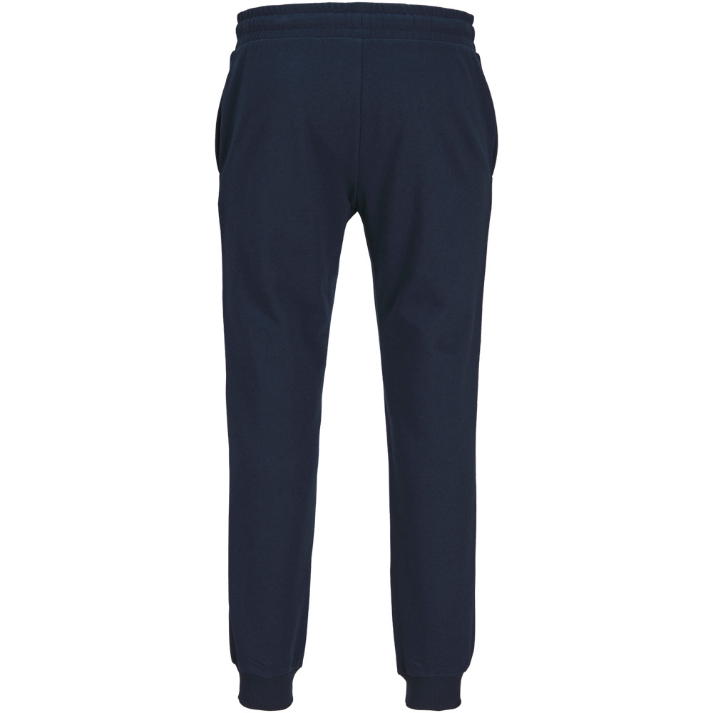 J&J pantalón hombre JPSTGORDON JJALVIS SWEAT PANTS NAF 05