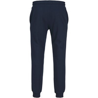 J&J pantalón hombre JPSTGORDON JJALVIS SWEAT PANTS NAF 05