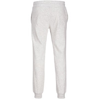 J&J pantalón hombre JPSTGORDON JJALVIS SWEAT PANTS NAF 05