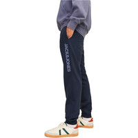 J&J pantalón hombre JPSTGORDON JJALVIS SWEAT PANTS NAF vista detalle