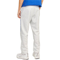 J&J pantalón hombre JPSTGORDON JJALVIS SWEAT PANTS NAF vista trasera