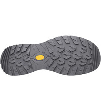 Lowa zapatilla trekking hombre RENEGADE EVO GTX LO vista trasera