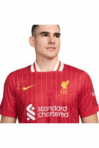 Nike camiseta de fútbol oficiales LIVERPOOL 25 M NK DF JSY SS STAD HM vista detalle