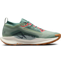 Nike zapatillas trail hombre NIKE PEGASUS TRAIL 5 GTX puntera