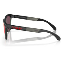 Oakley gafas deportivas FROGSKINS RANGE 02