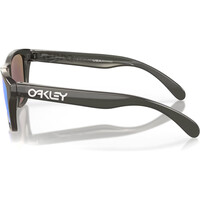 Oakley gafas deportivas infantiles FROGSKINS XXS GREY SMOKE W/ PRIZM SAPPH 02