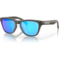 Oakley gafas deportivas infantiles FROGSKINS XXS GREY SMOKE W/ PRIZM SAPPH vista frontal