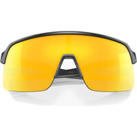 Oakley gafas deportivas Sutro Lite Mt Carbon w/ Prizm 24K 03