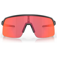 Oakley gafas deportivas Sutro Lite Mtt Crbn w/ PRIZM Trl Trch 01