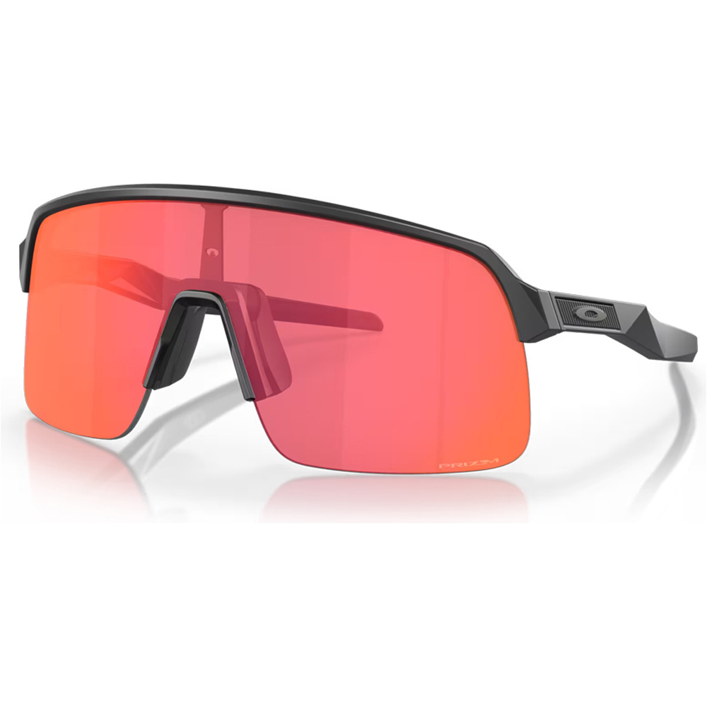 Oakley gafas deportivas Sutro Lite Mtt Crbn w/ PRIZM Trl Trch vista frontal